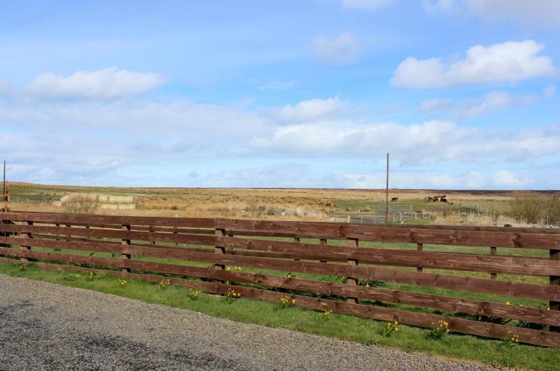 Hillside Camping Pods Wick (Highlands) Exterior foto