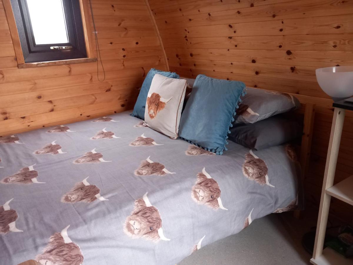 Hillside Camping Pods Wick (Highlands) Quarto foto